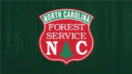 Group Banner Picture